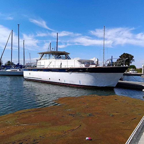 1961 chris craft constellation - 1961,