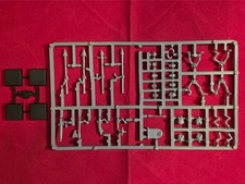 Warhammer Fantasy Undead Skeleton Warriors on Sprue RARE OOP AoS