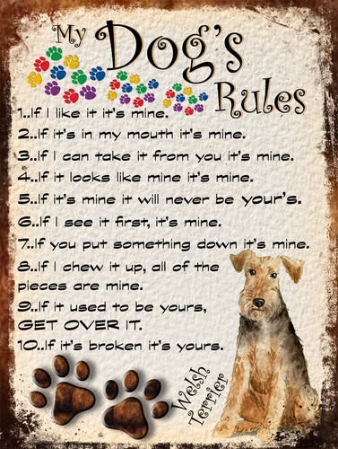 Dog rules retro style - dog's,