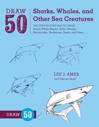 Draw sharks whales and - 50, sharks,