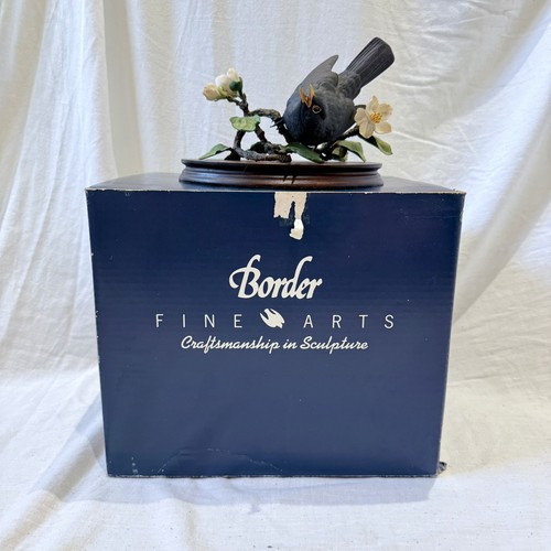 Border fine arts - border,