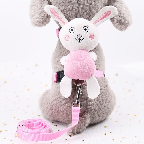 Cute angel wings dog cat - dog, pet