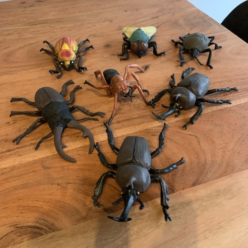 Bugs beetle red ant - 7,