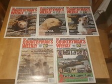 5  Issues Of The Countryman's