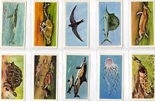 Brooke Bond. A full set, 50