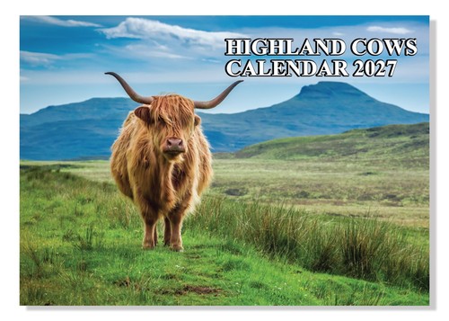 2027 highland cows wall - highland,