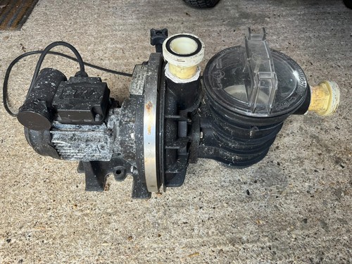 Swimming pool pump sta rite - pump, sta-rite