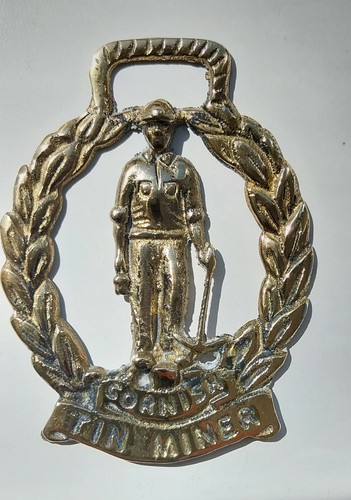 Cornish tin miner - cornish,