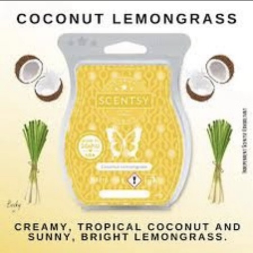 Scentsy bundle bars of - scentsy,