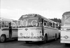 5.5cm x 4cm negative with