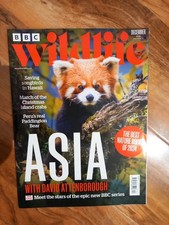 BBC Wildlife,Dec 2024,Stunning
