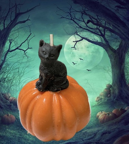 Hocus pocus cat pumpkin - pocus,