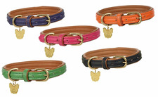 Shires Digby & Fox Padded