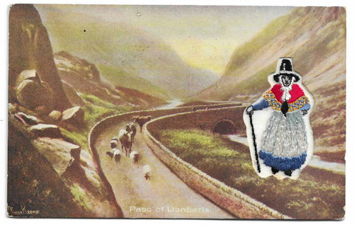 Novelty postcard pass - novelty,