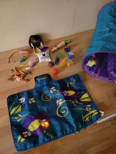 Cat play toy bundle toys - play,