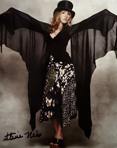 Stevie nicks fleetwood mac - stevie,