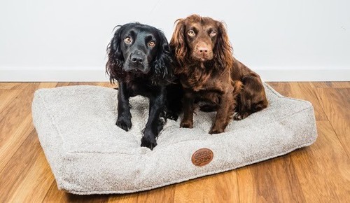 Snug cosy pets - &,