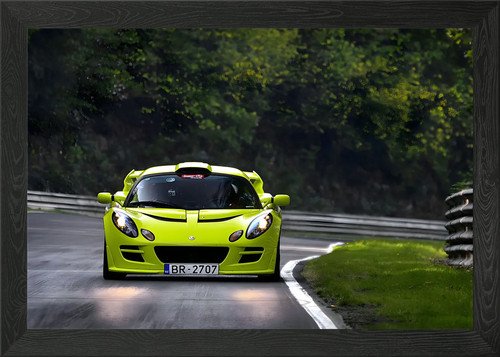 Lotus exige framed wall - exige,