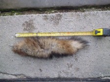 Red fox tail, real cured fox brush, boneless,  Hunting, Davy Crockett  Hog hat