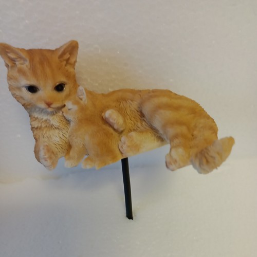 Vivid arts ginger mother cat - arts, &