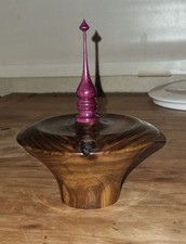 Exotic lignum vitae - lignum,