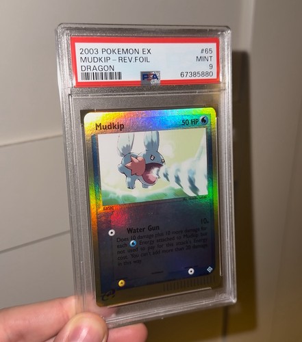Pokemon tcg mudkip emerald - mudkip, ex
