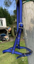 Pony size black & blue webbing under halter for carriage driving 