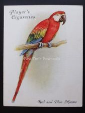 No.20 RED & BLUE MACAW - Aviary & Cage Birds L25 by John Player 1935