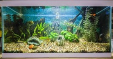 Aquarium - complete fish tank set - 54 litres (60 x 30 x 30cm)