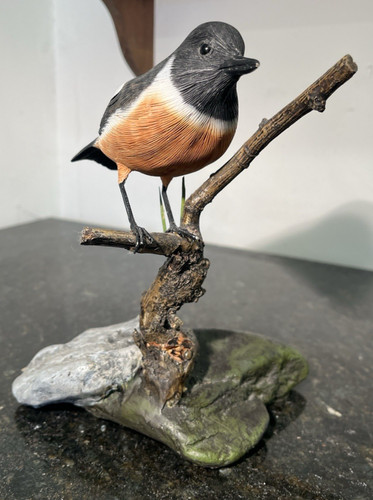 Stonechat bird sculpture - bird,