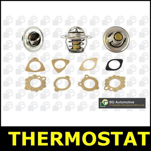 Thermostat fits aston - fits, martin