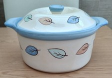 Vintage / retro Rayware Gardens pattern ceramic lidded casserole pot (? rare)