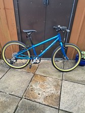 Islabikes Beinn 20 Unisex Kids