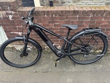 Trek Powerfly +4 Equipped 800