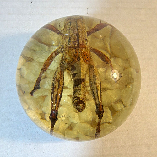 Lucite paperweight decorative - lucite,
