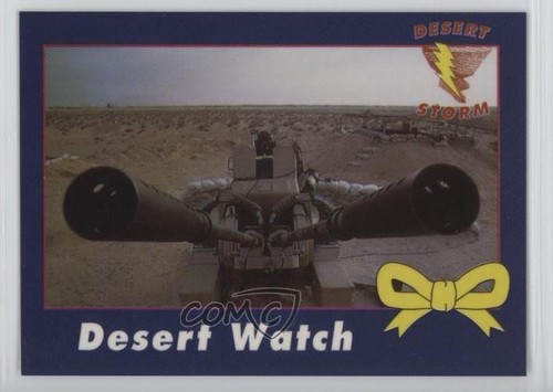1991 ama desert - ama, storm