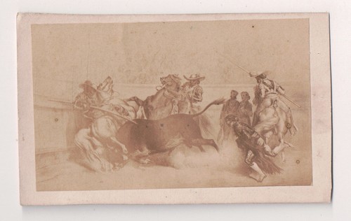 Vintage cdv spanish bullfight - vintage,