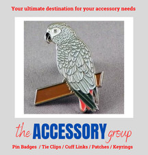 New African Grey Parrot Bird