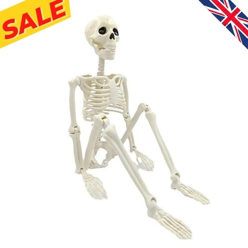 Halloween decorations - halloween,