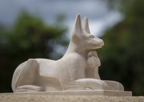 Egyptian anubis jackal statue - anubis,