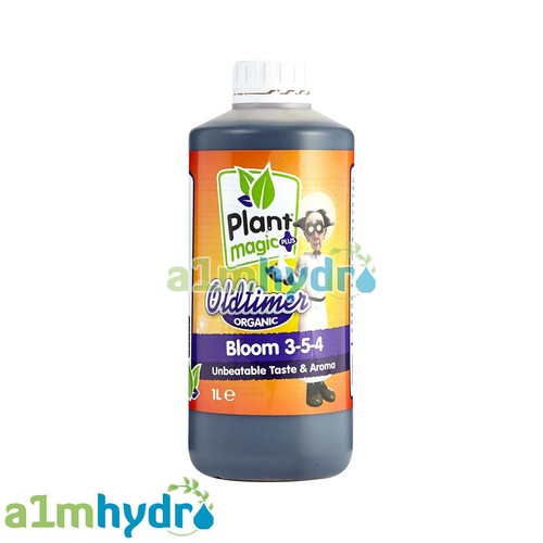 Plant magic old timer bloom - timer,