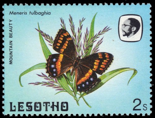 Lesotho 422 table - (sg564),