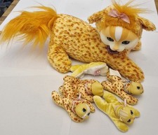 Kitty Surprise Orange Ginger