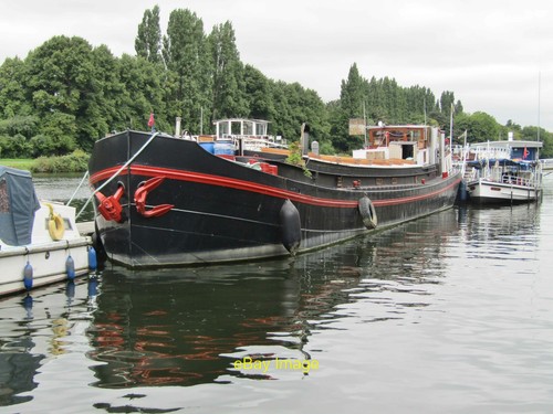 Photo 12x8 kingston - photo,