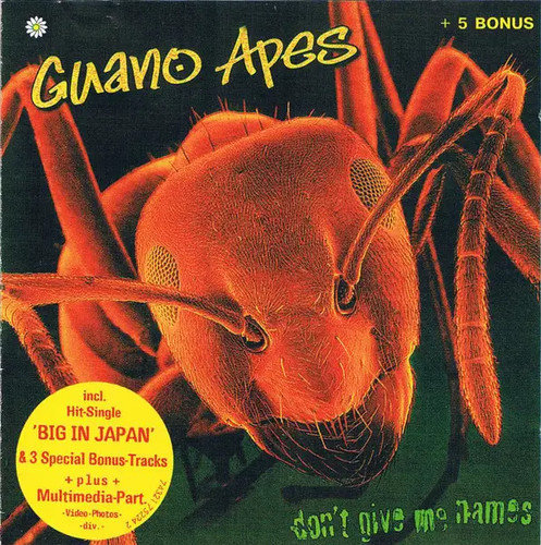 Guano apes dont - apes,