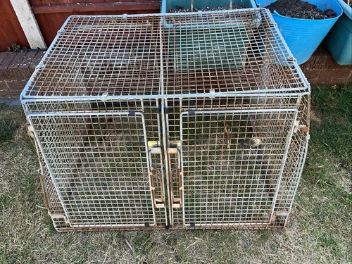 Guardsman galvanised dog - galvanised,