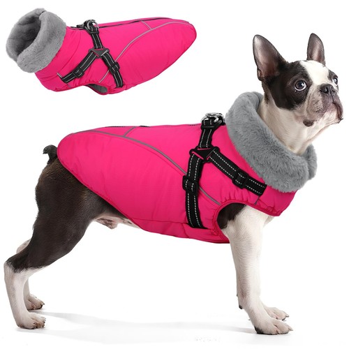 Dog jackets for extra - dog,