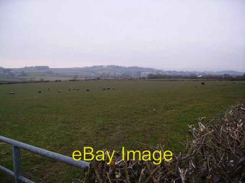 Photo 6x4 sheep near scales - photo,