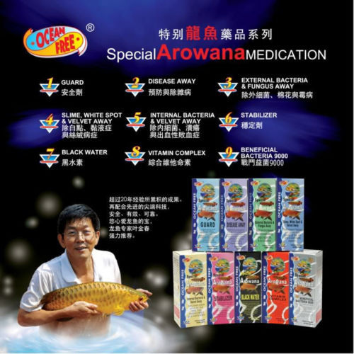 500 ocean free special - ml,