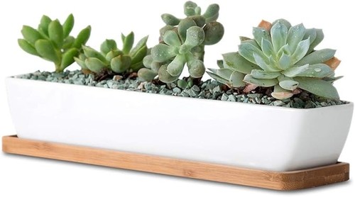 11inch long rectangle white - long,